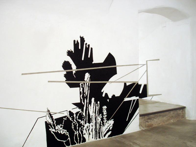 MEAN SHADOW OF A GOD (Raum: Christian Heilig / Wand: Esther Horn), de Simoni arte contemporanea gallery, Genua, 2009/2010